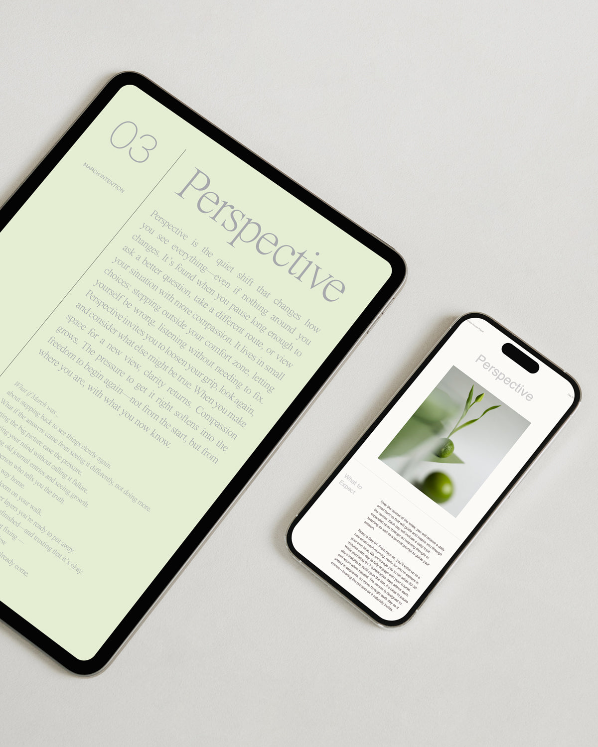 The Digital Essentials Bundle