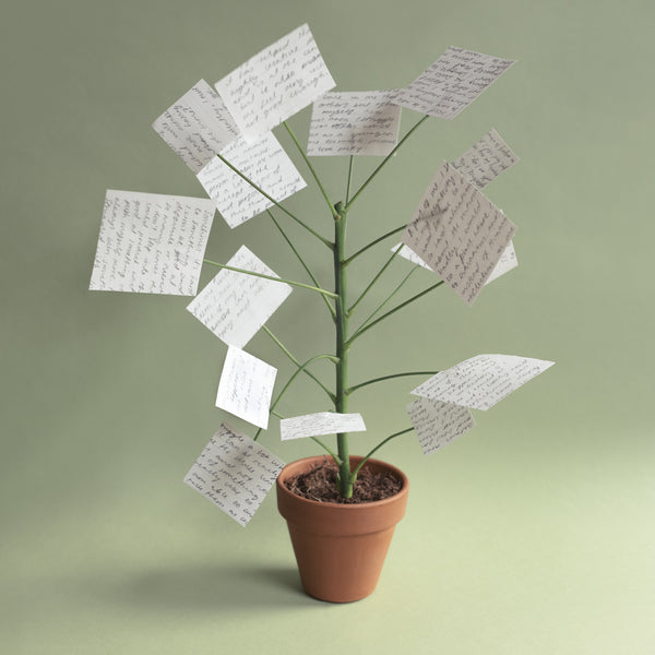 Growth – Open Journal Course Preview